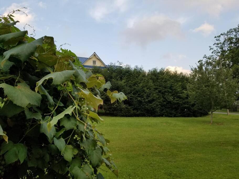 Basecampwv-Durbin. Spacious 4 Bedroom House W/Yard Kültér fotó
